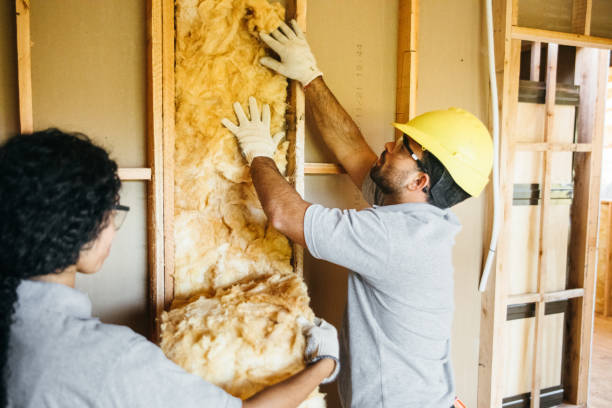 Best Insulation Removal  in Louisville, GA