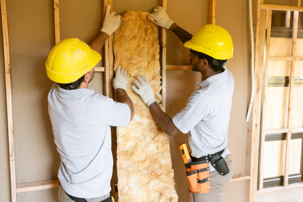 Insulation Replacement Services in Louisville, GA