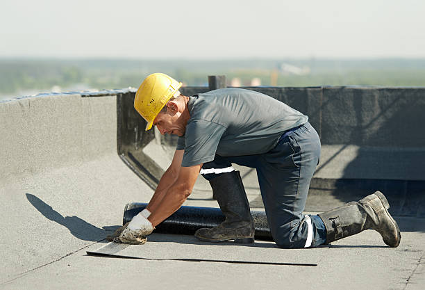 Best Insulation Contractors for Homes  in Louisville, GA